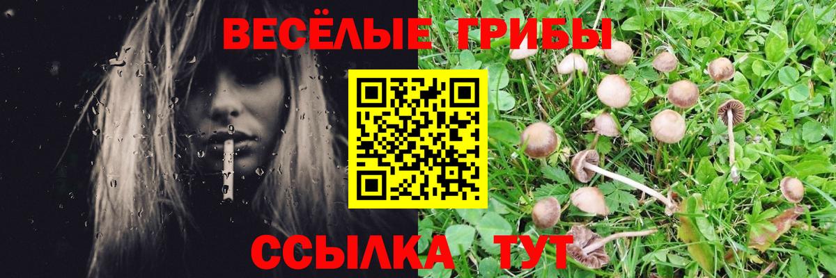 Чайковский  где купить   Вход с VPN  Псилоцибиновые грибы прущие грибы  Галлюциногенные грибы прущие грибы 